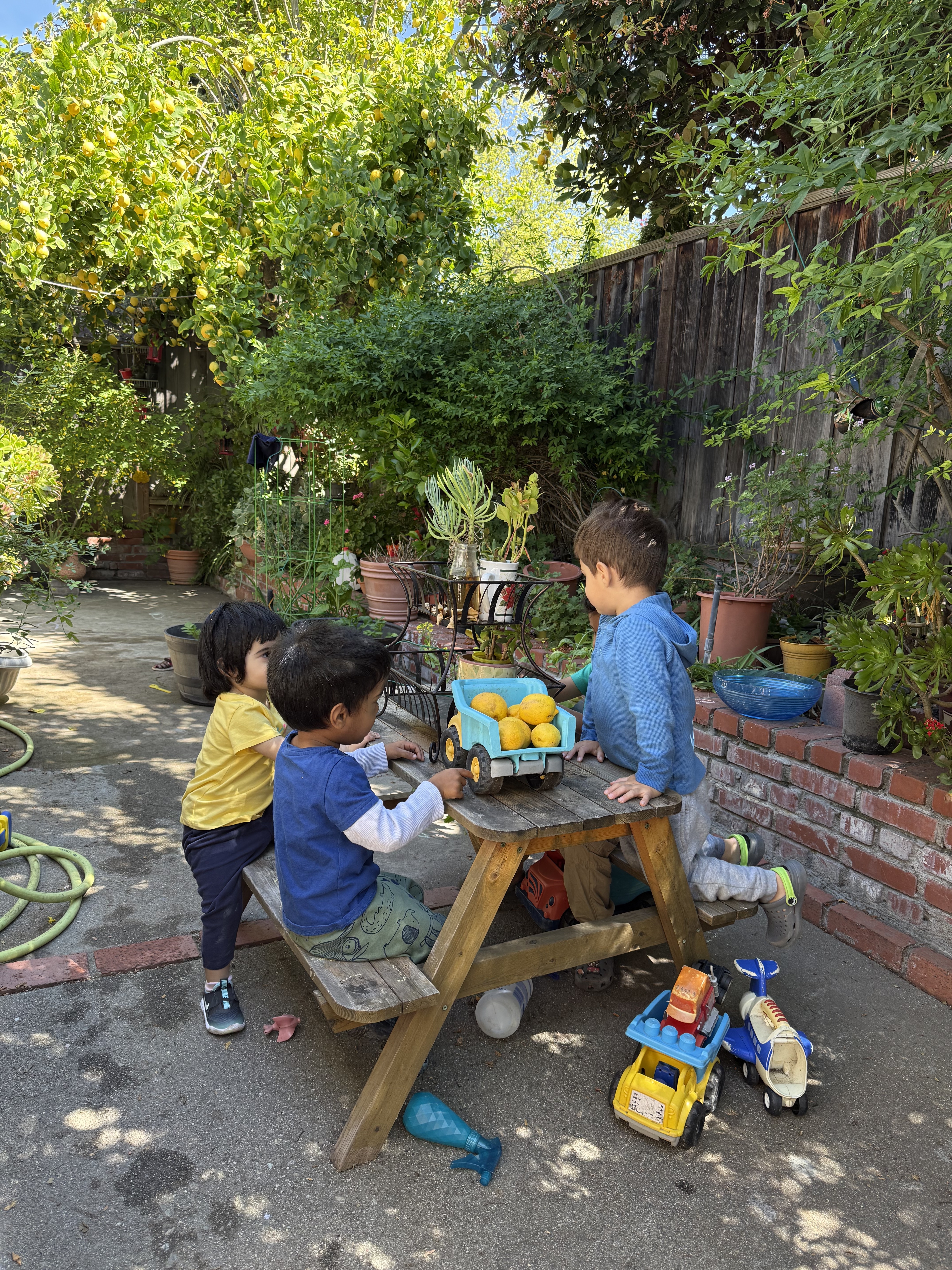 Kids playing in the garden
